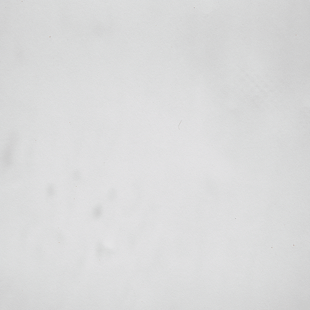 SUNday SUN No. 269 by Tad Carpenter